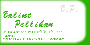 balint pellikan business card